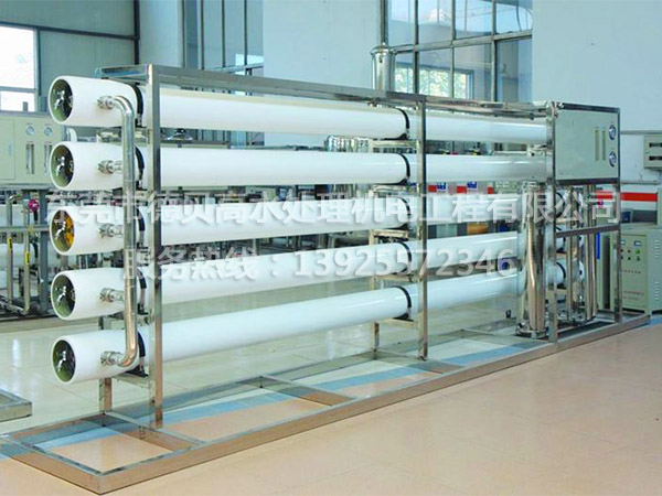 每小時30T反滲透純凈水設(shè)備