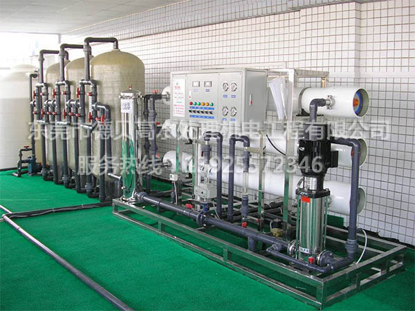 每小時10T反滲透純凈水設(shè)備