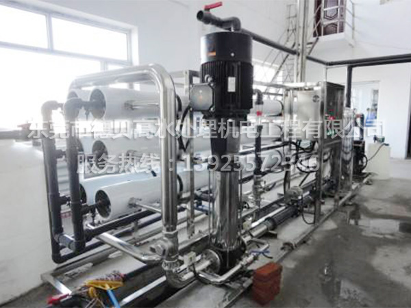 每小時20T反滲透純凈水設(shè)備